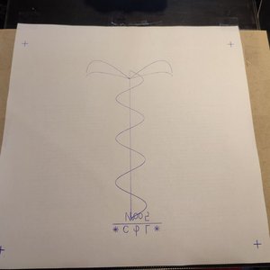 *Caduceus* — №006