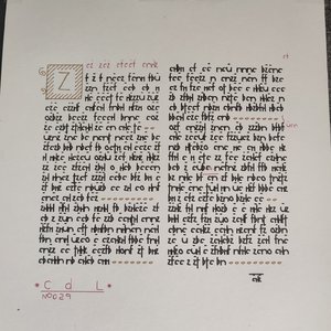 *Asemic Manuscript* — №029
