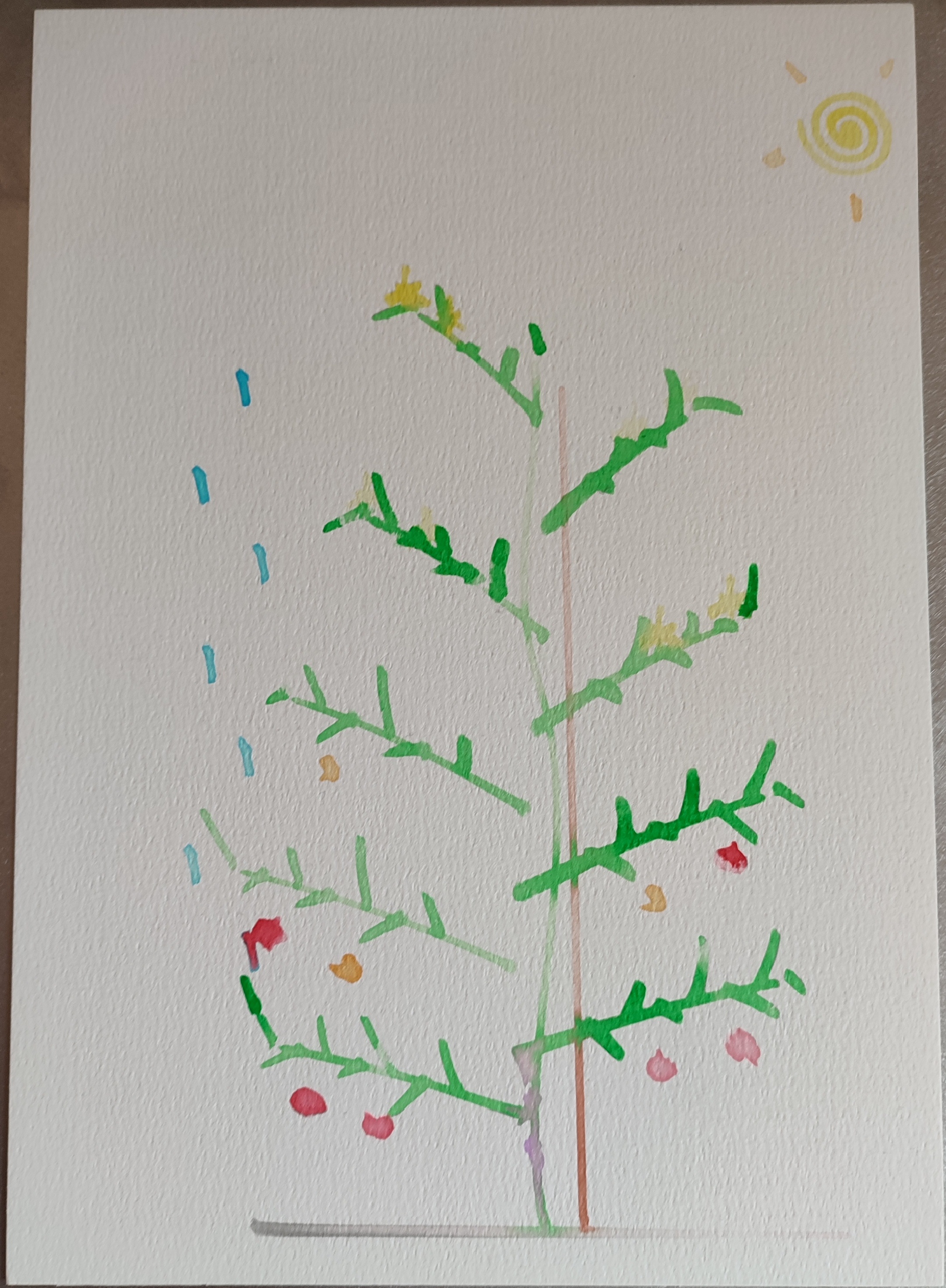 Watercolor painting of Sol the tomato plant